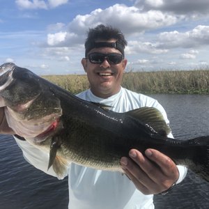 7 pound Everglades bass 11/25.jpeg