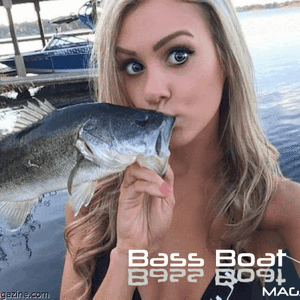 Lets Kiss Some Fish