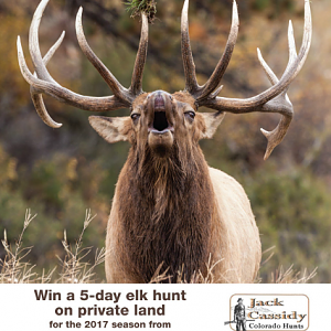 5 Day Elk Hunt